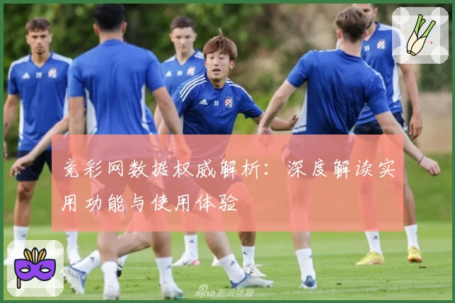 竞彩网数据权威解析：深度解读实用功能与使用体验