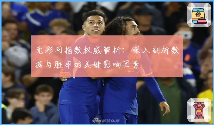 竞彩网指数权威解析:深入剖析数据与胜率的关键影响因素