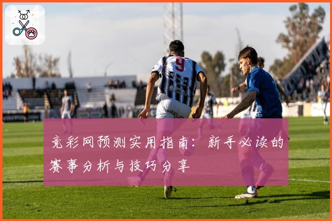 竞彩网预测实用指南：新手必读的赛事分析与技巧分享