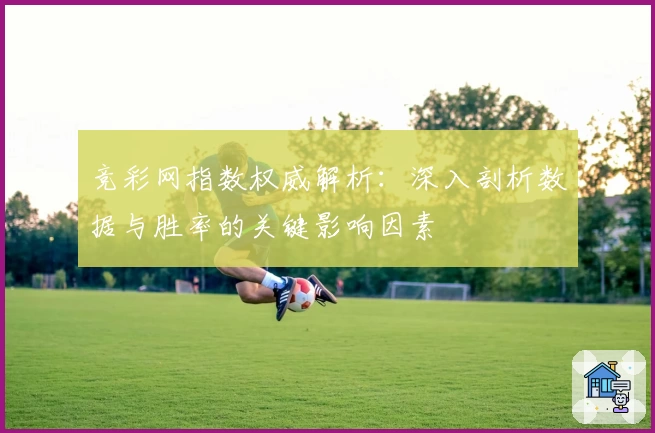 竞彩网指数权威解析:深入剖析数据与胜率的关键影响因素